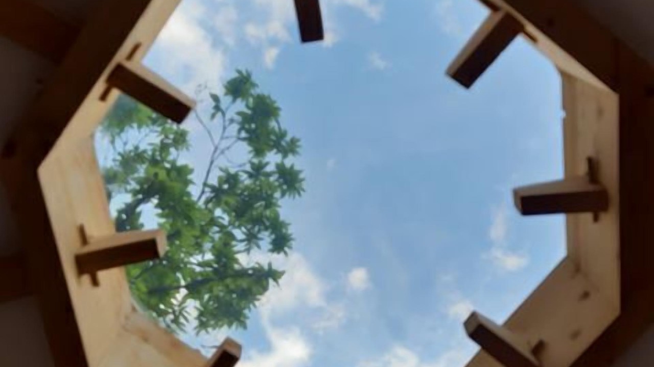 Photo of Others in Belvedere