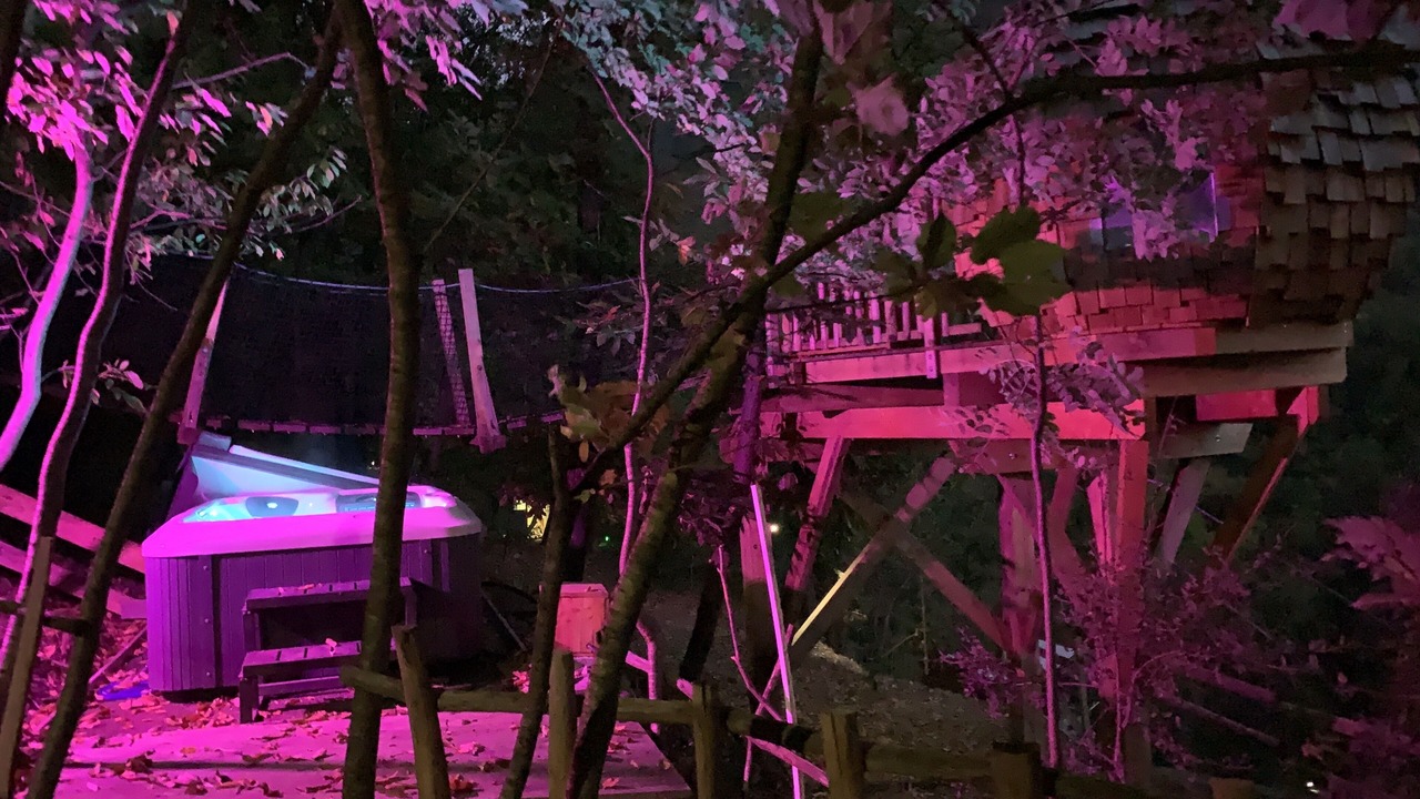 Photo of Outdoor in Belvedere