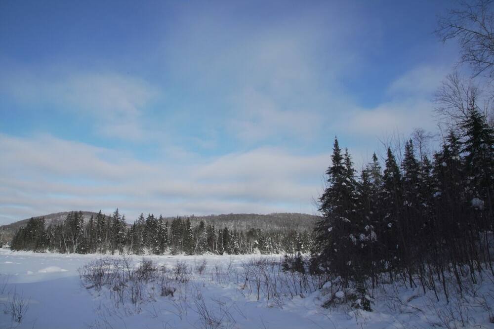Photo of Others in Mauricie