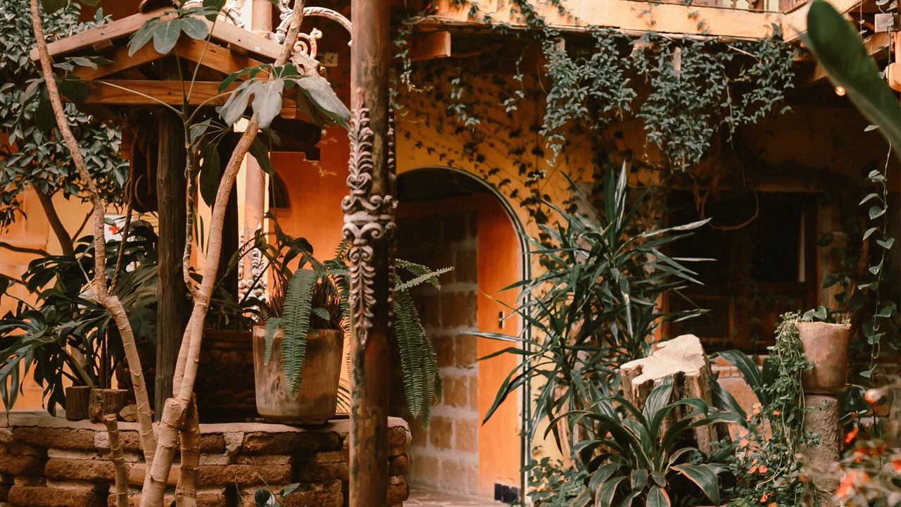 Photo of Outdoor in Dolores Hidalgo