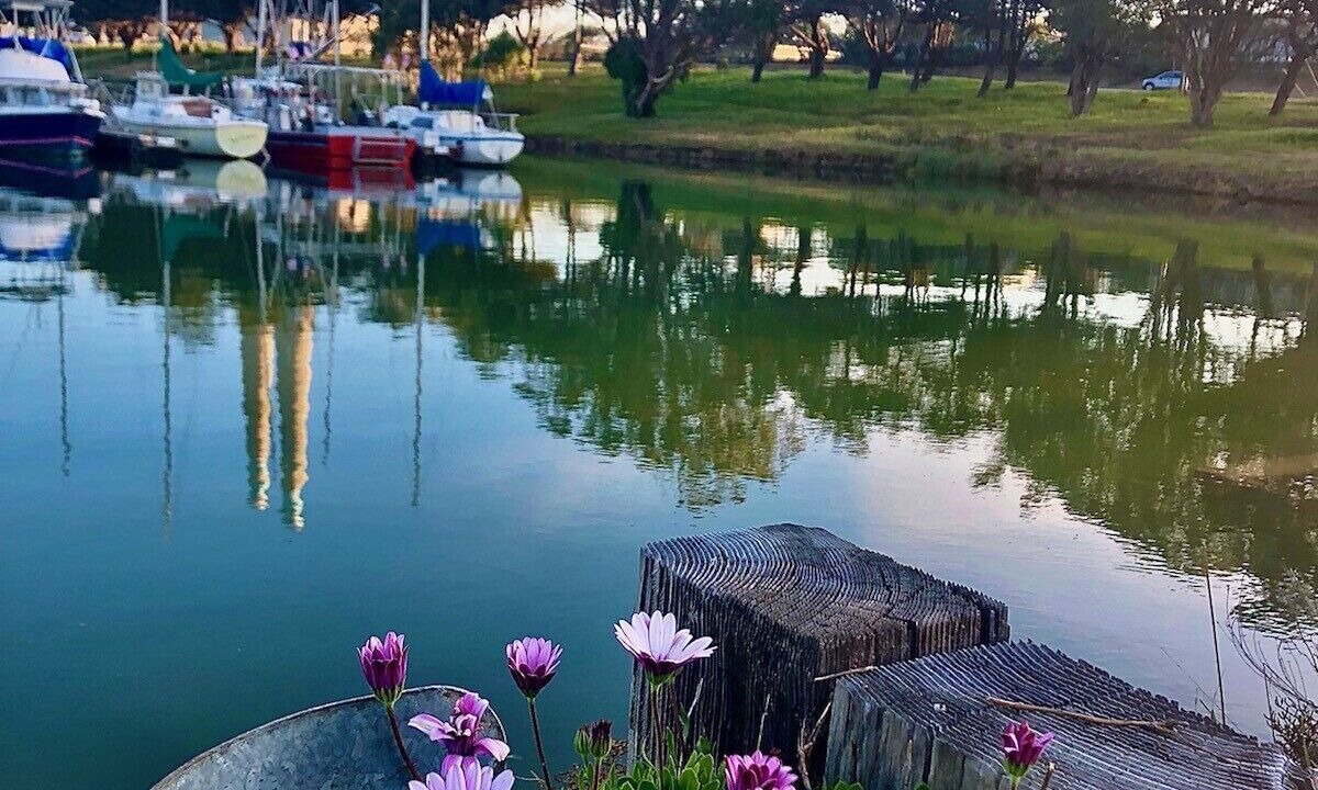 Photo of Others in Elkhorn