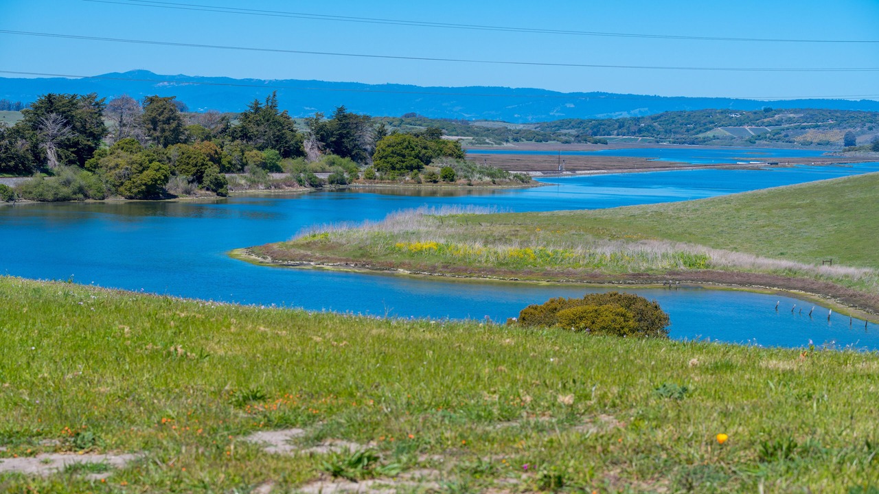 Photo of Others in Elkhorn