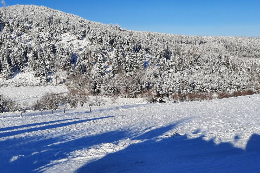 Photo of Others in Gerbepal