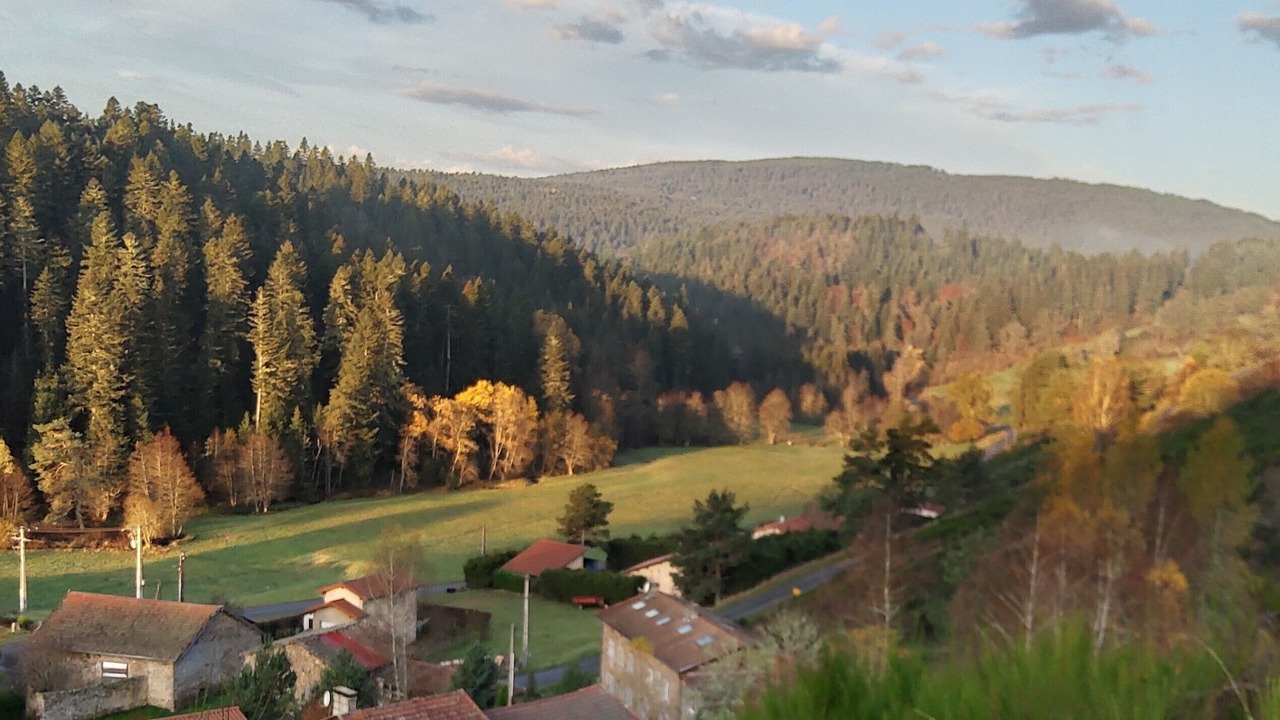Photo of Outdoor in Saint-Pal-de-Senouire