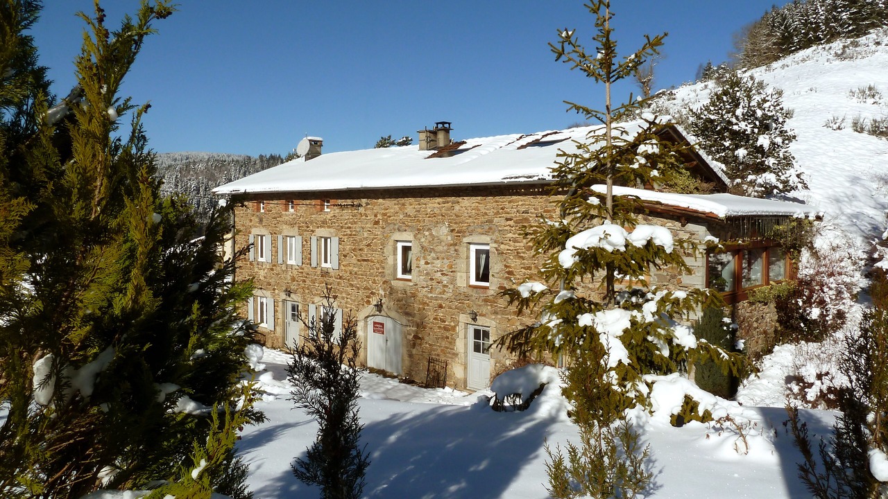 Photo of Outdoor in Saint-Pal-de-Senouire