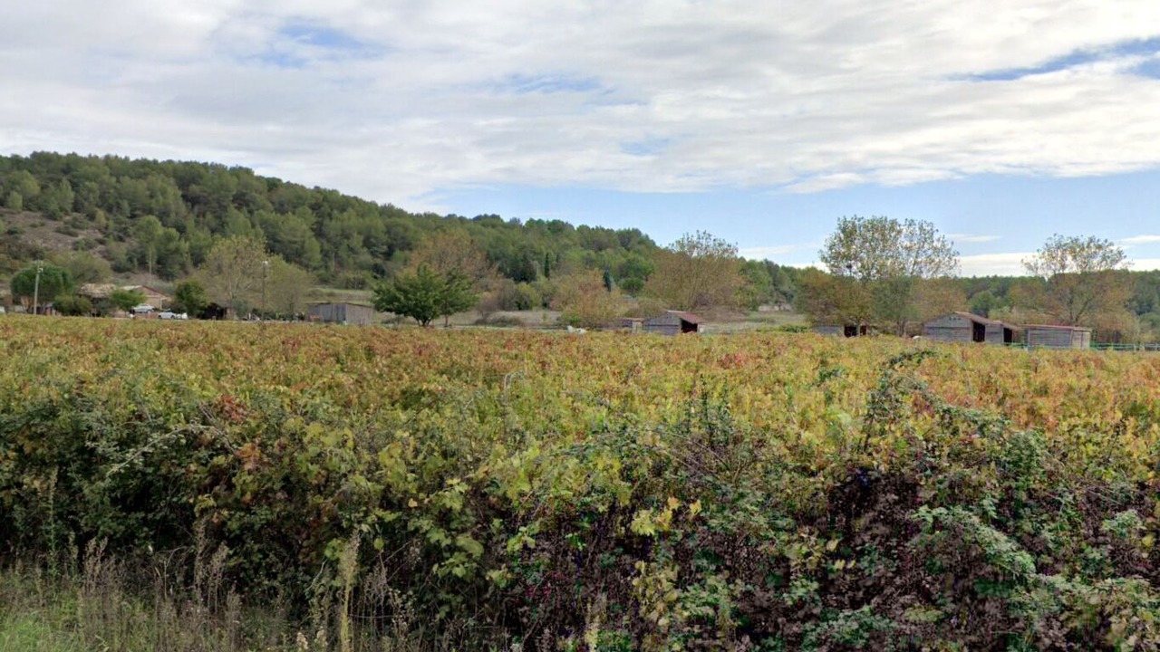 Photo of Outdoor in Nages-et-Solorgues