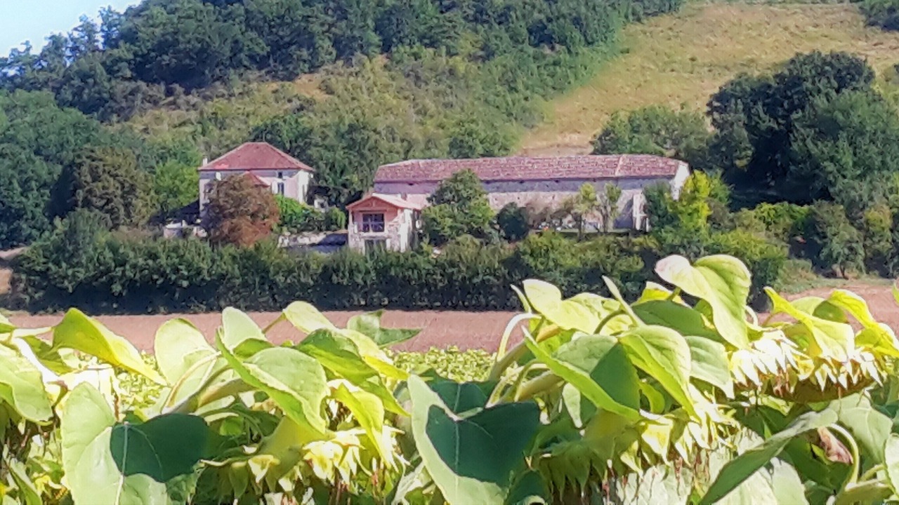 Photo of Outdoor in Monjoi