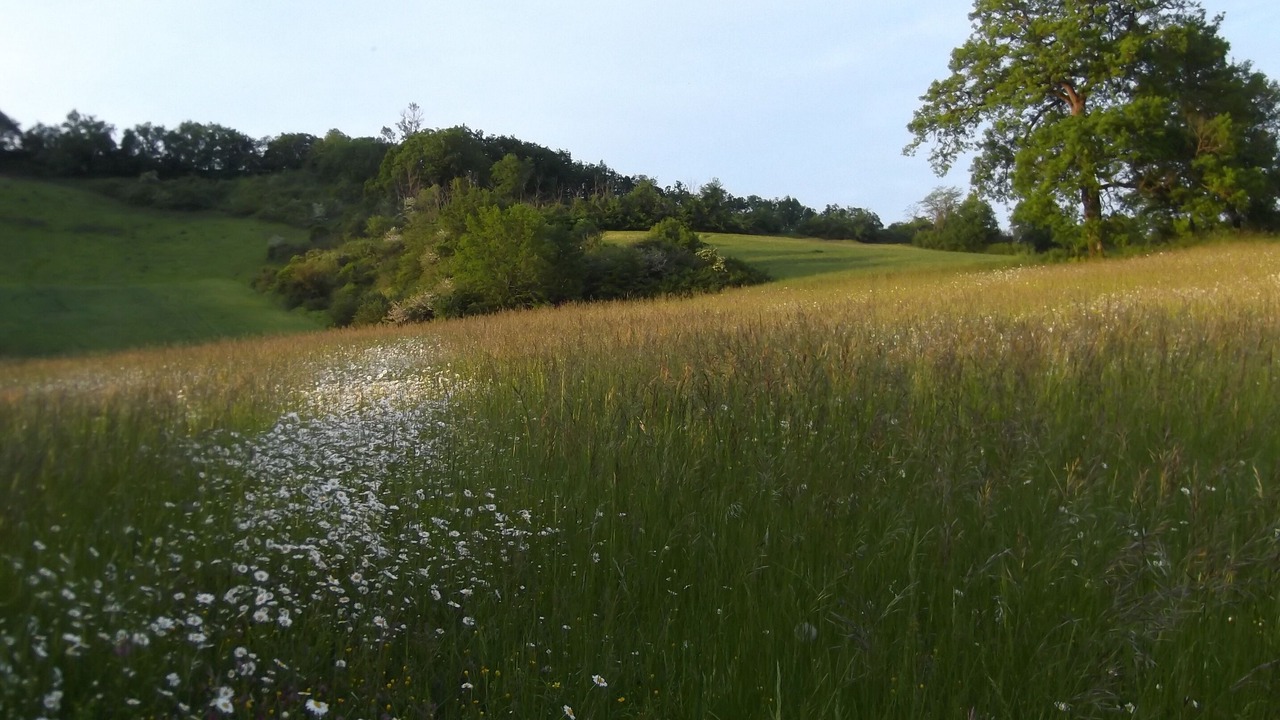 Photo of Outdoor in Monjoi