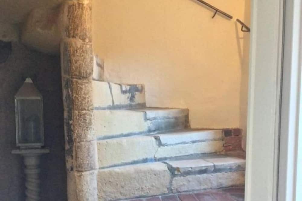 Photo of Others in Falaise