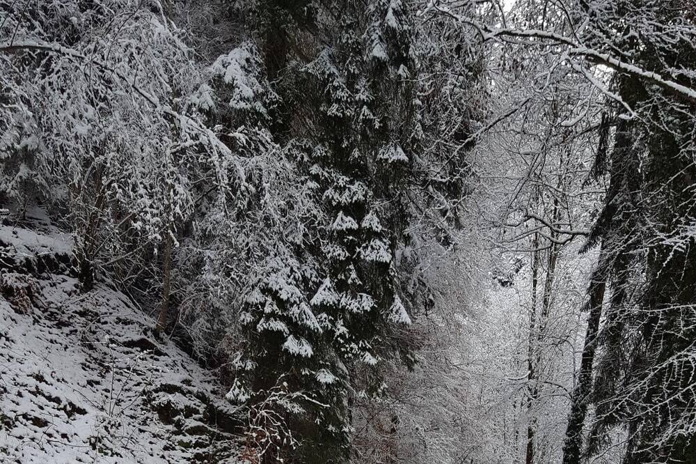 Photo of Outdoor in Les Posses-sur-Bex