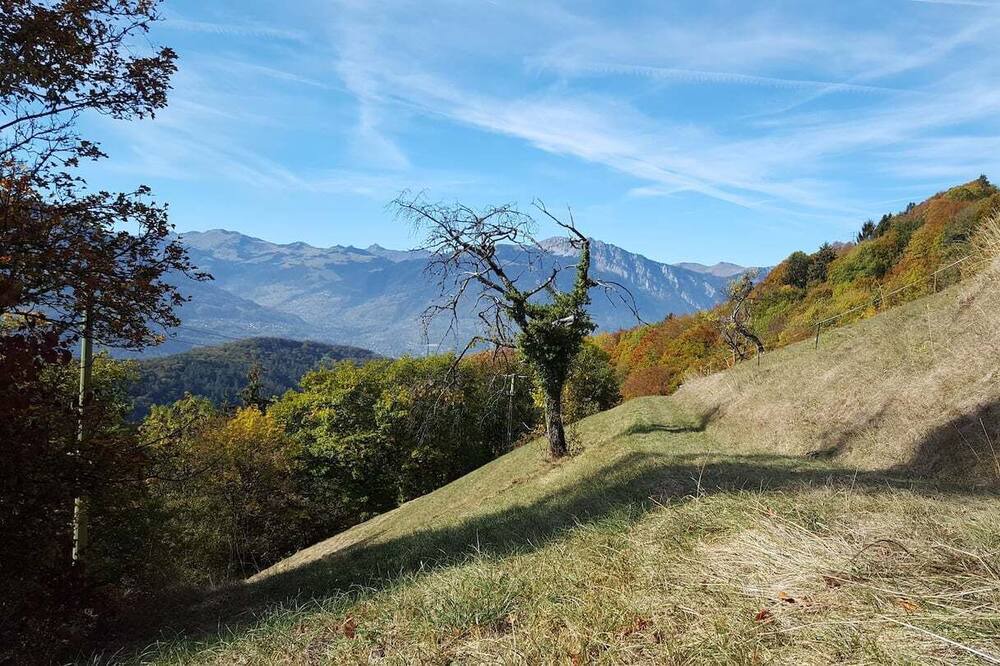 Photo of Outdoor in Les Posses-sur-Bex