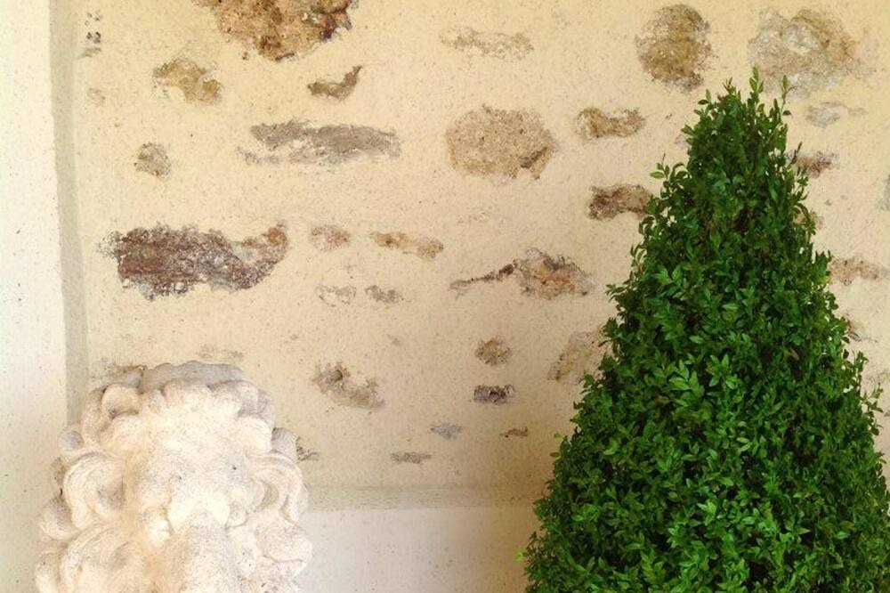 Photo of Others in La Houssaye-en-Brie