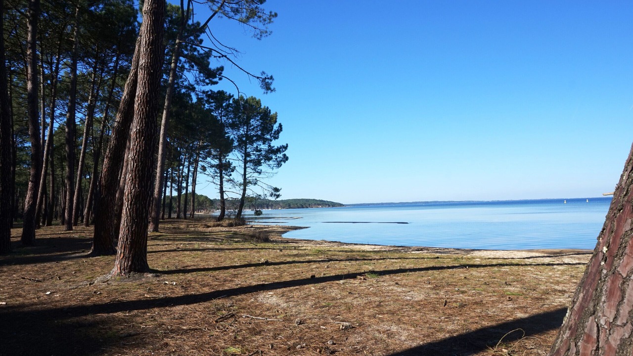 Photo of Others in Biscarrosse Plage