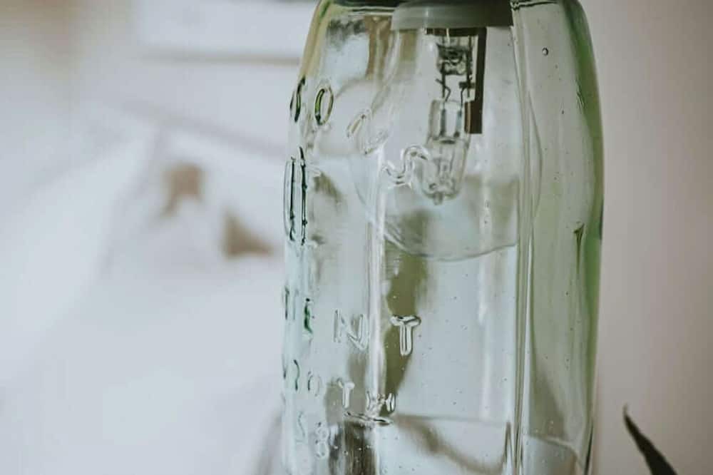 Photo of Others in Lyonville