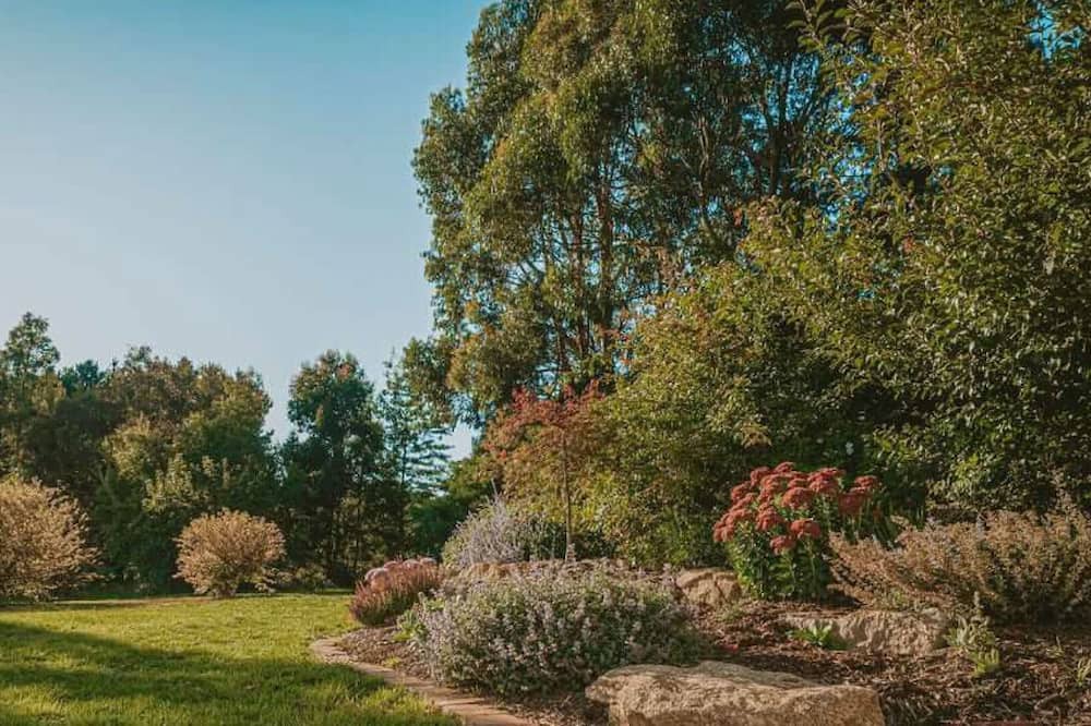 Photo of Others in Lyonville