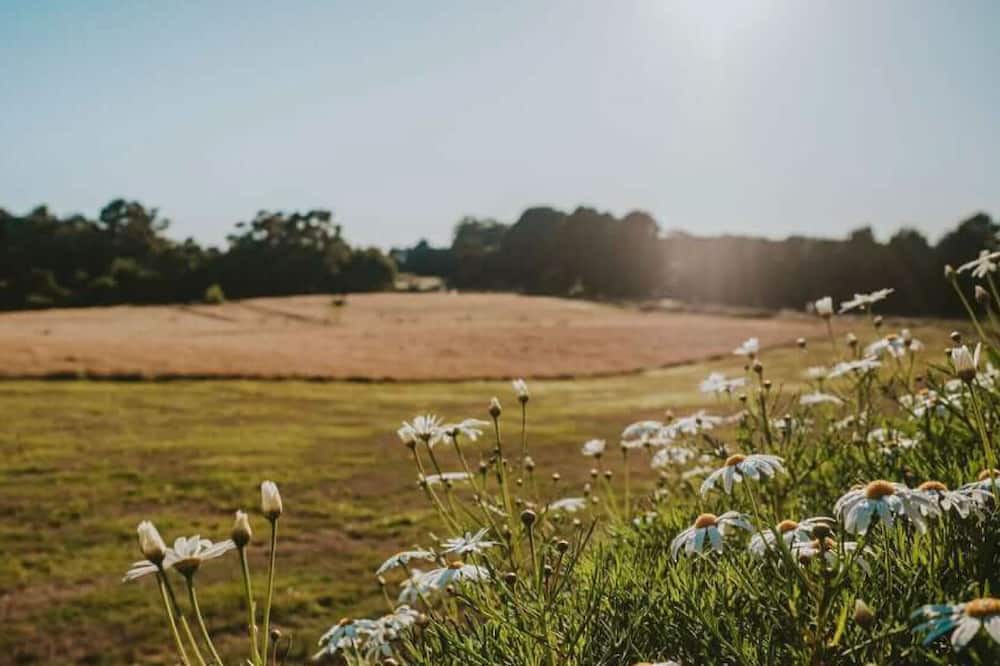 Photo of Others in Lyonville