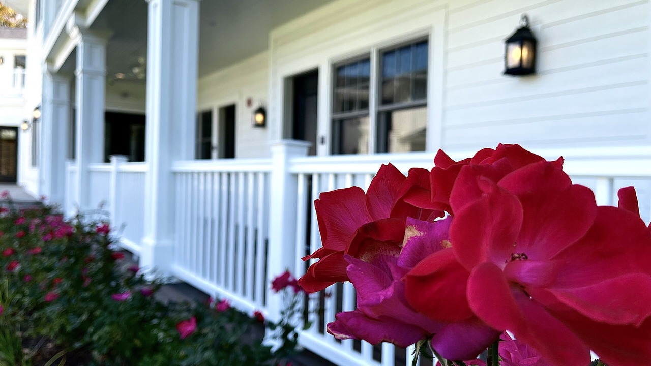 Photo of Outdoor in Williams Bay