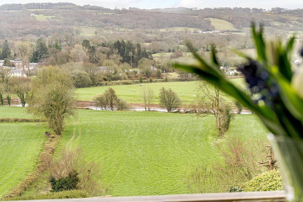 Photo of Others in Pentrefelin