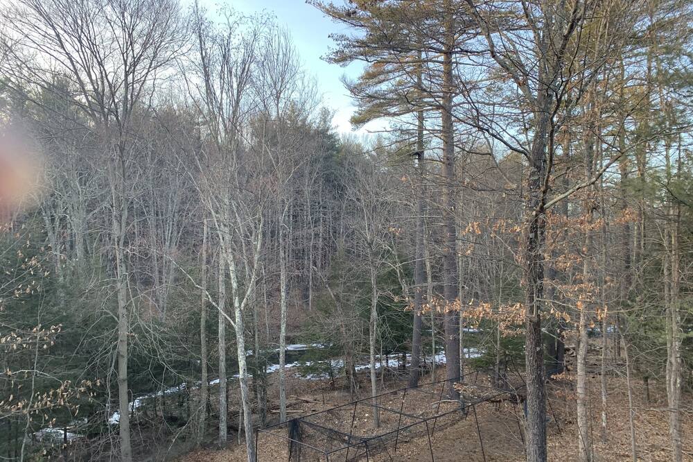 Photo of Outdoor in Mount Marion