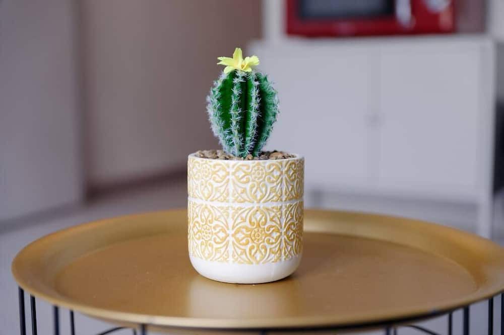 Photo of Others in Saint-Pierre