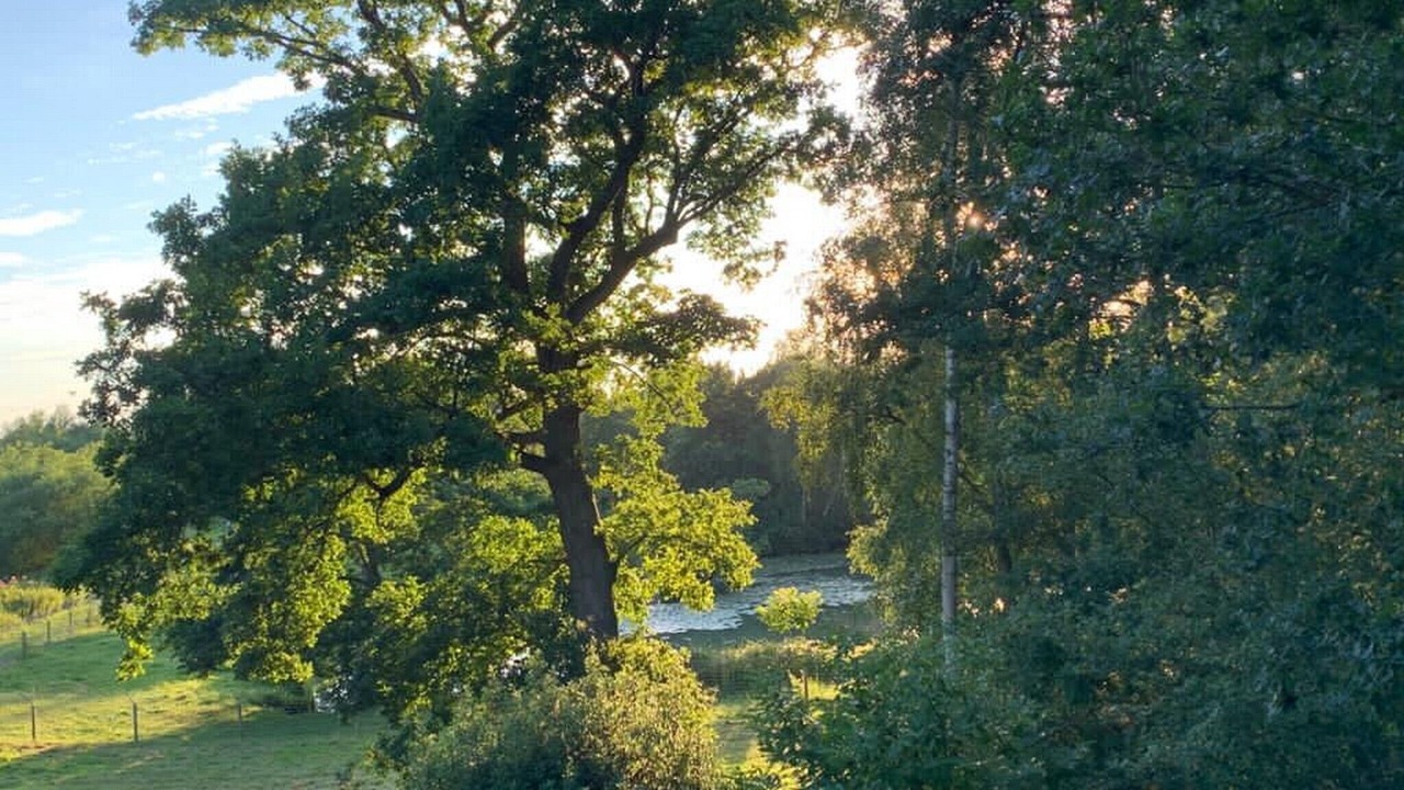 Photo of Others in Foxley