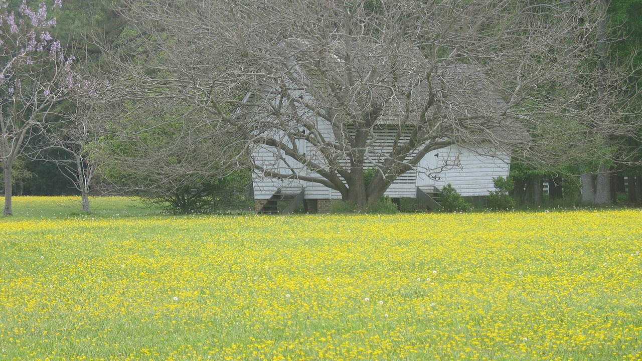 Photo of Outdoor in Hayes