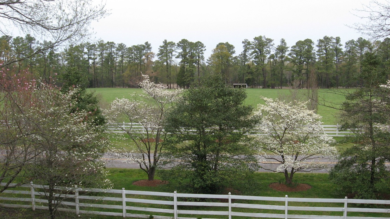 Photo of Outdoor in Hayes