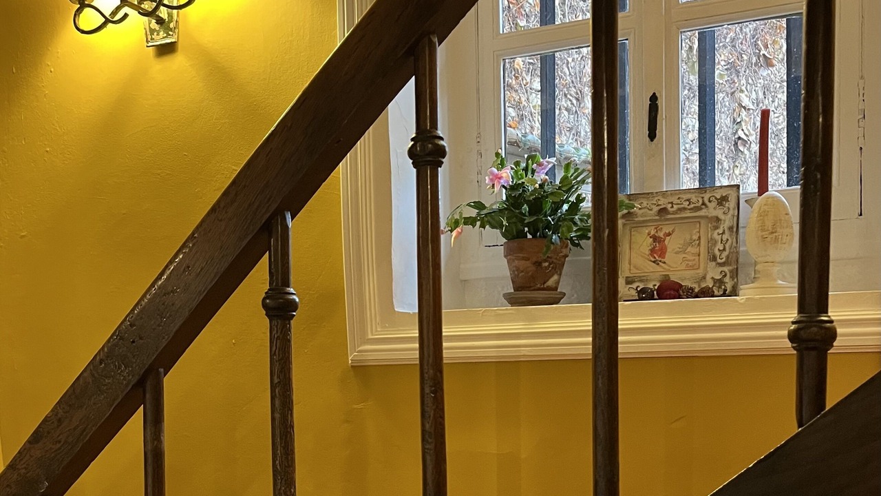 Photo of Others in Jujurieux