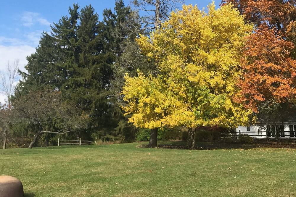 Photo of Outdoor in Honeoye Falls