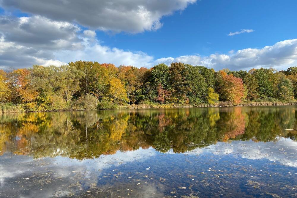 Photo of Others in Honeoye Falls