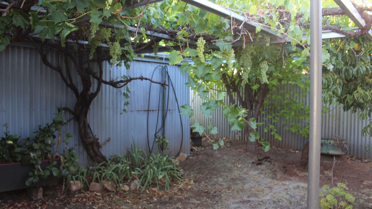 Photo of Outdoor in Peterborough