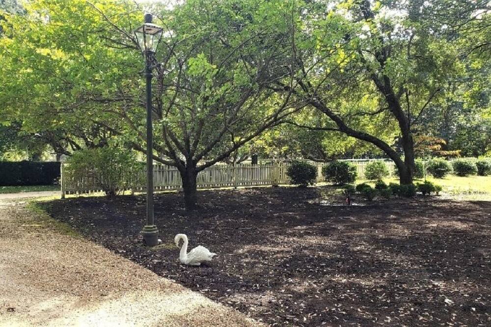 Photo of Outdoor in Hayes