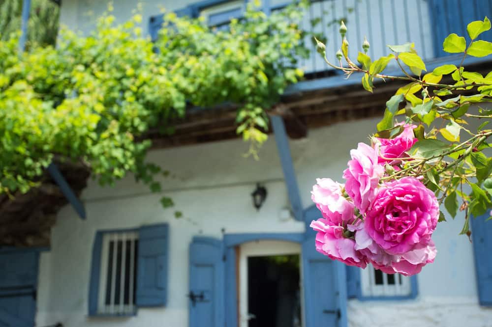 Photo of Outdoor in Miglos