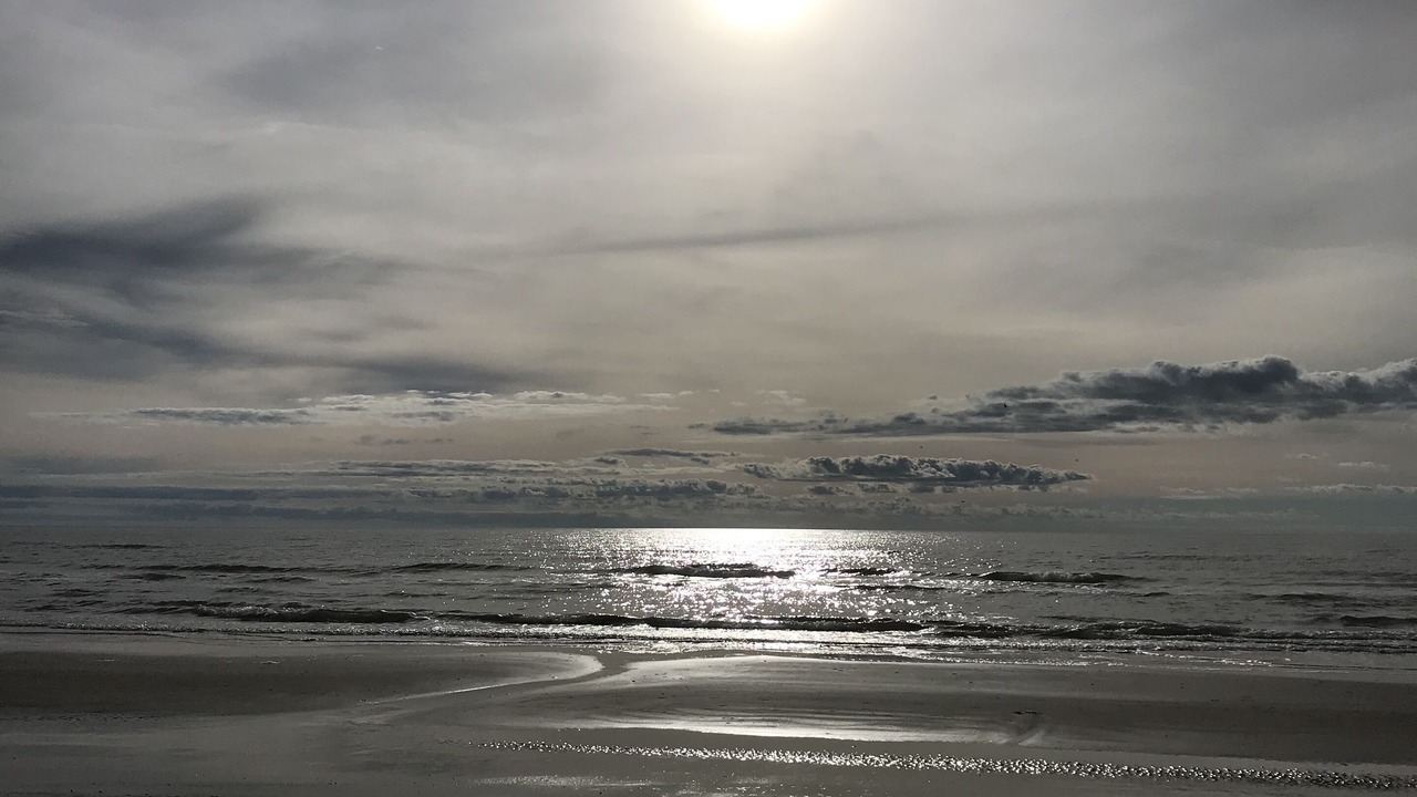 Photo of Others in Surfside Beach