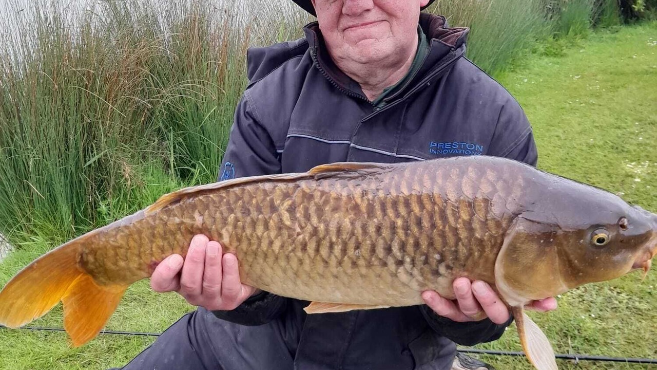 Photo of Outdoor in Boston