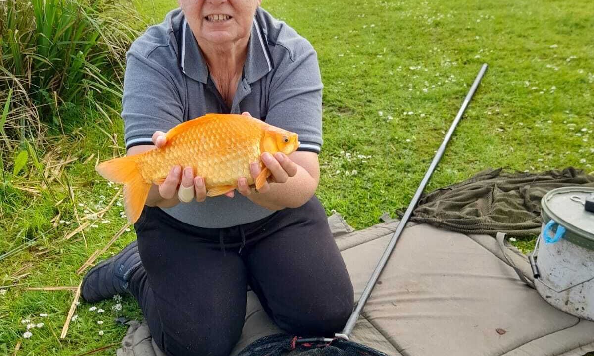 Photo of Outdoor in Boston