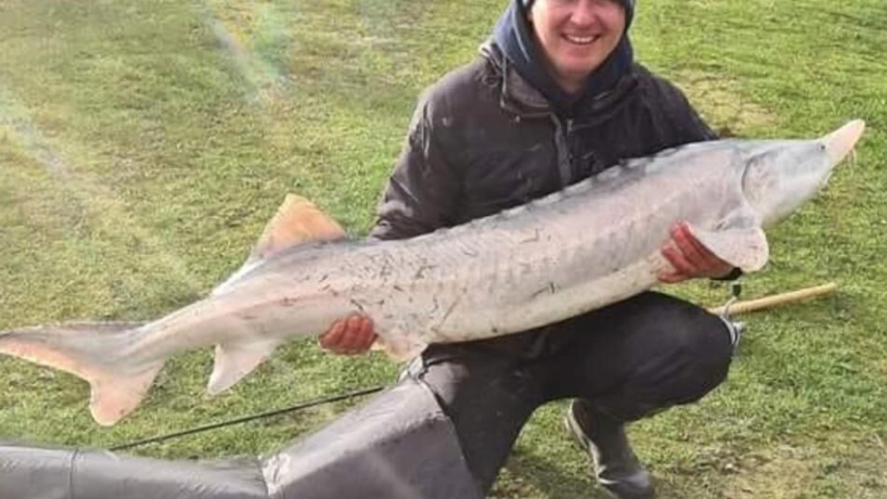 Photo of Outdoor in Boston