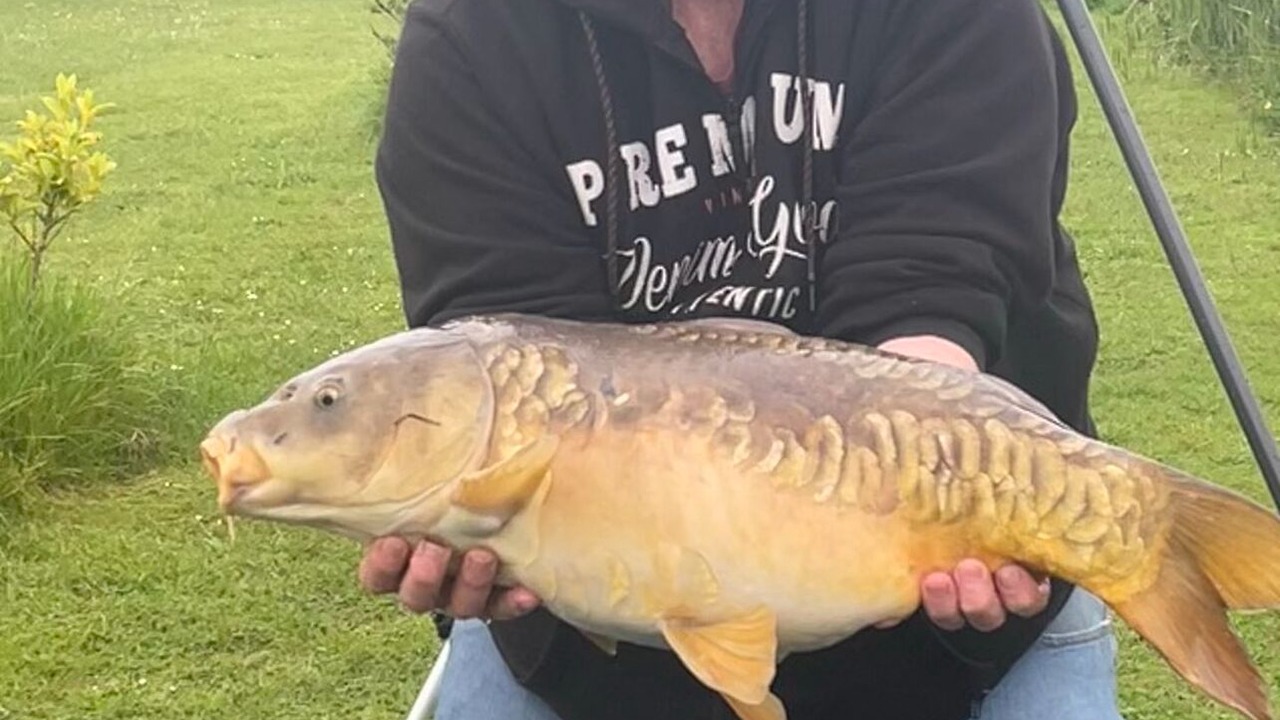 Photo of Outdoor in Boston