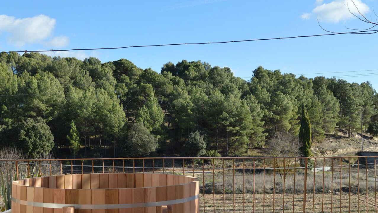 Photo of Outdoor in Requena