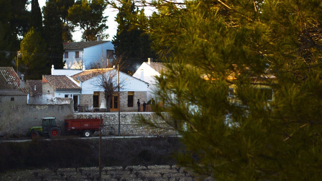 Photo of Outdoor in Requena