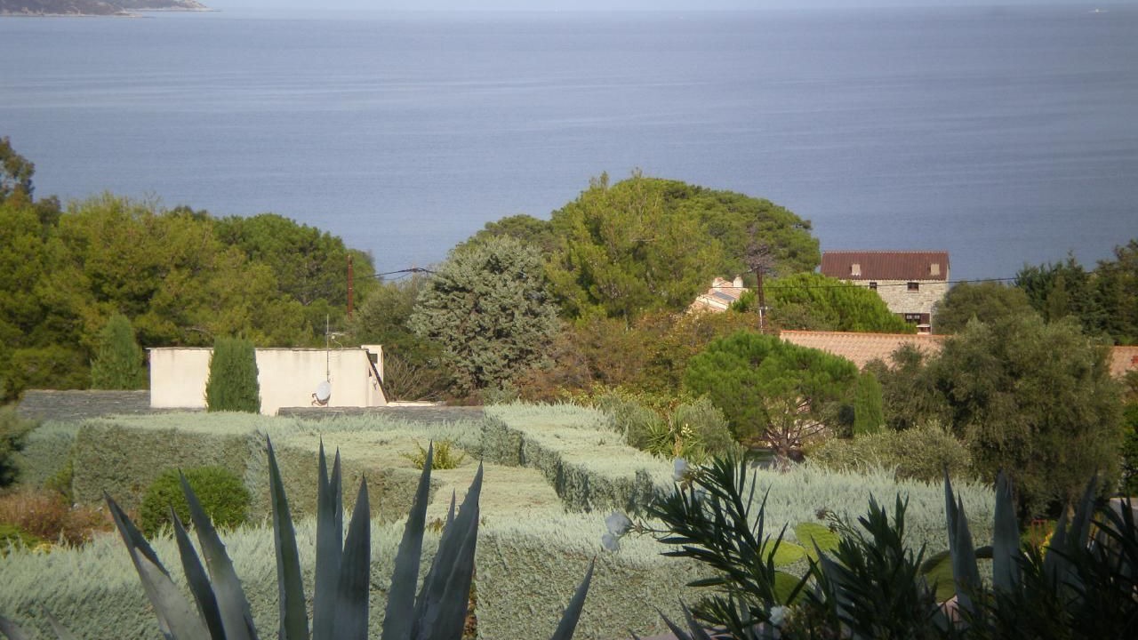 Photo of Others in Saint-Florent