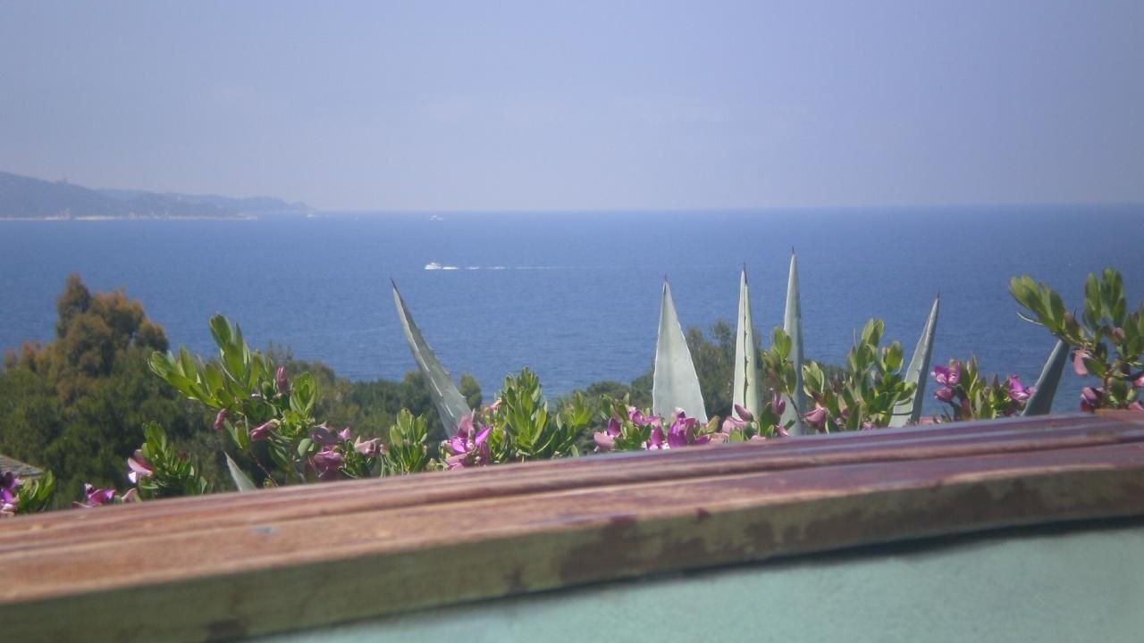 Photo of Others in Saint-Florent