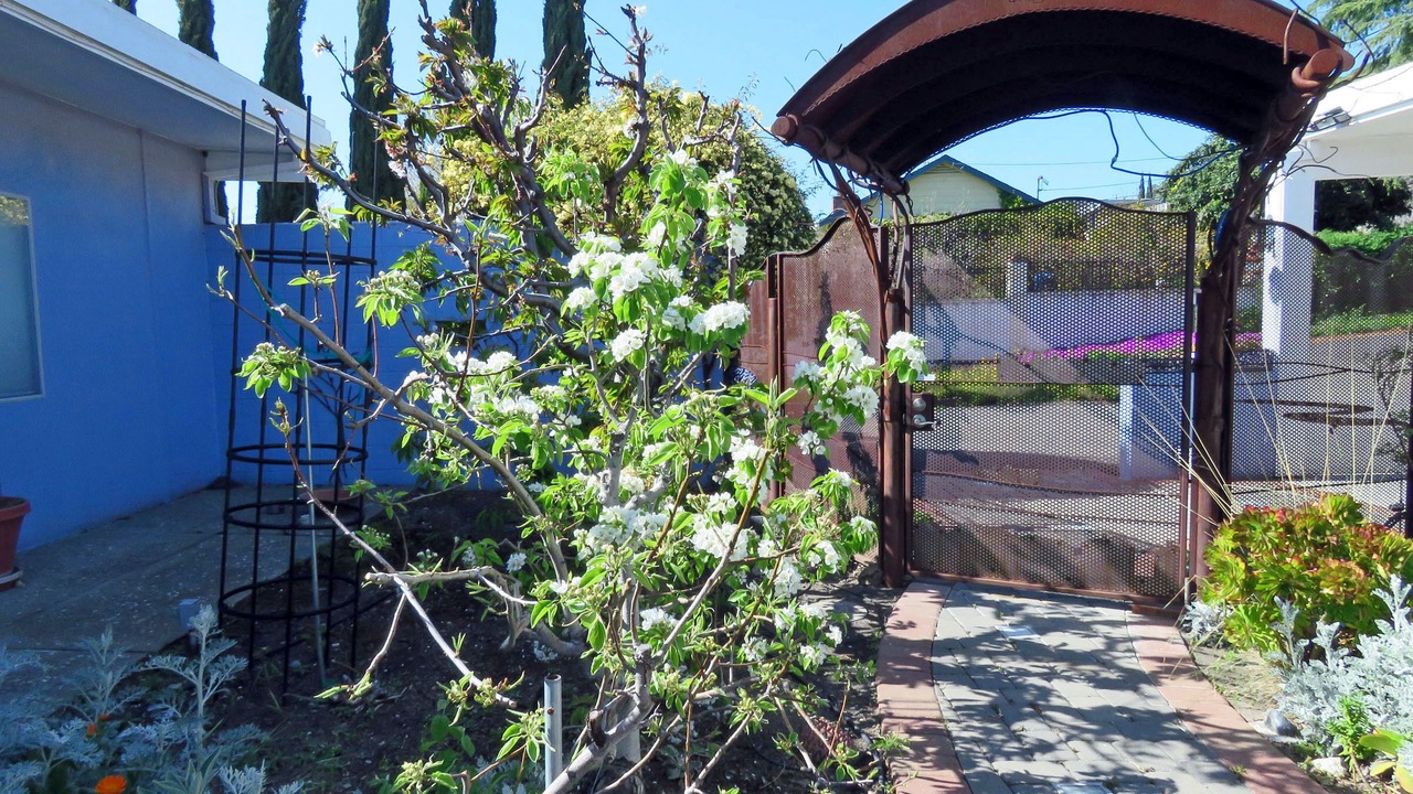 Photo of Outdoor in East Foothills