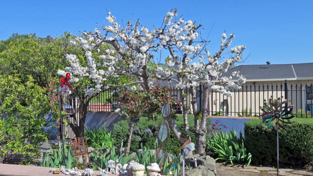 Photo of Outdoor in East Foothills