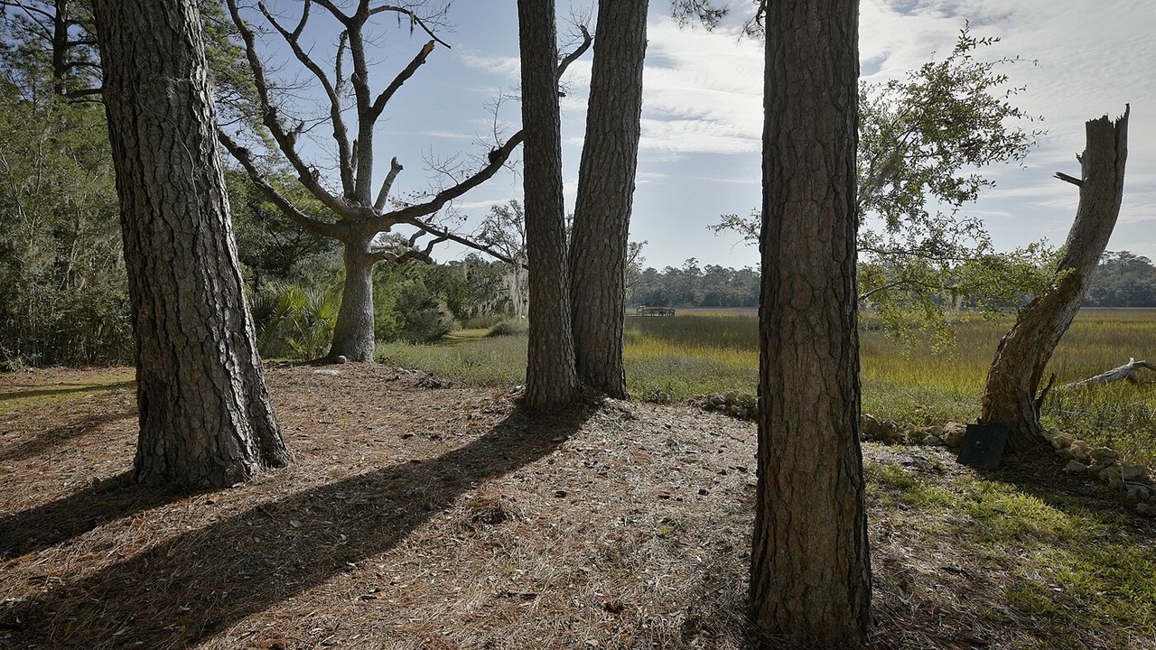 Photo of Outdoor in Edisto Island