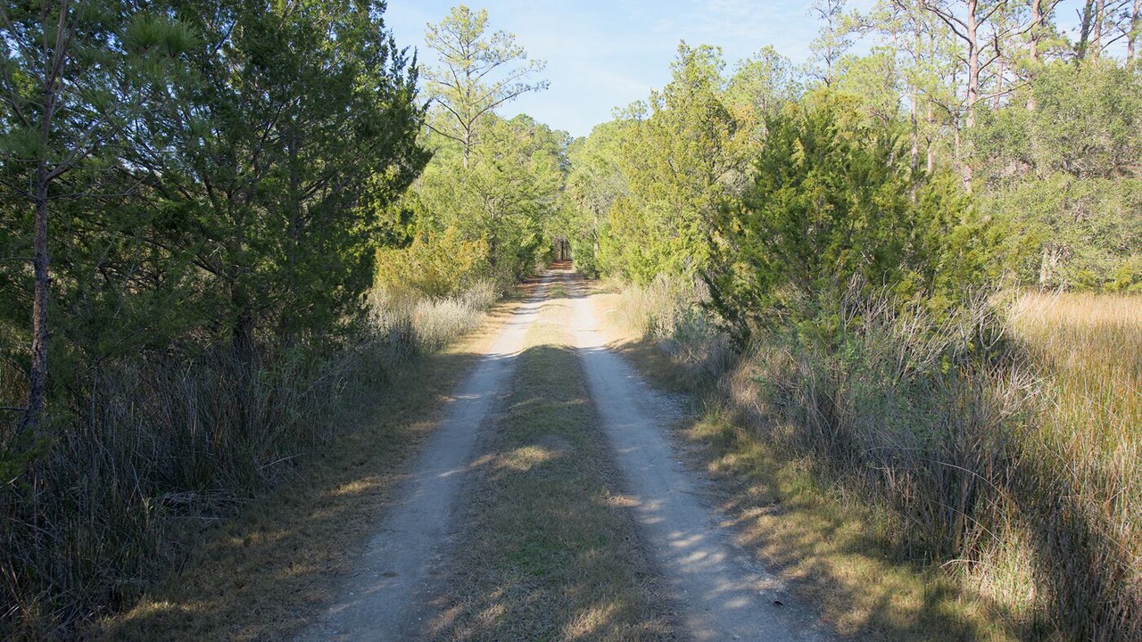 Photo of Others in Edisto Island