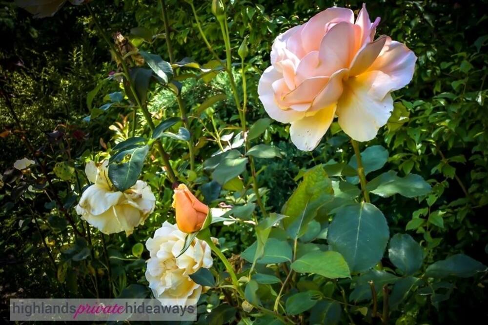 Photo of Outdoor in Bowral