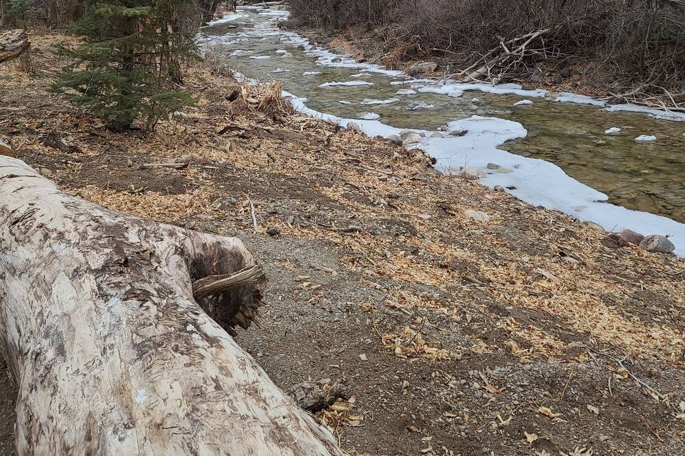 Photo of Outdoor in New Castle