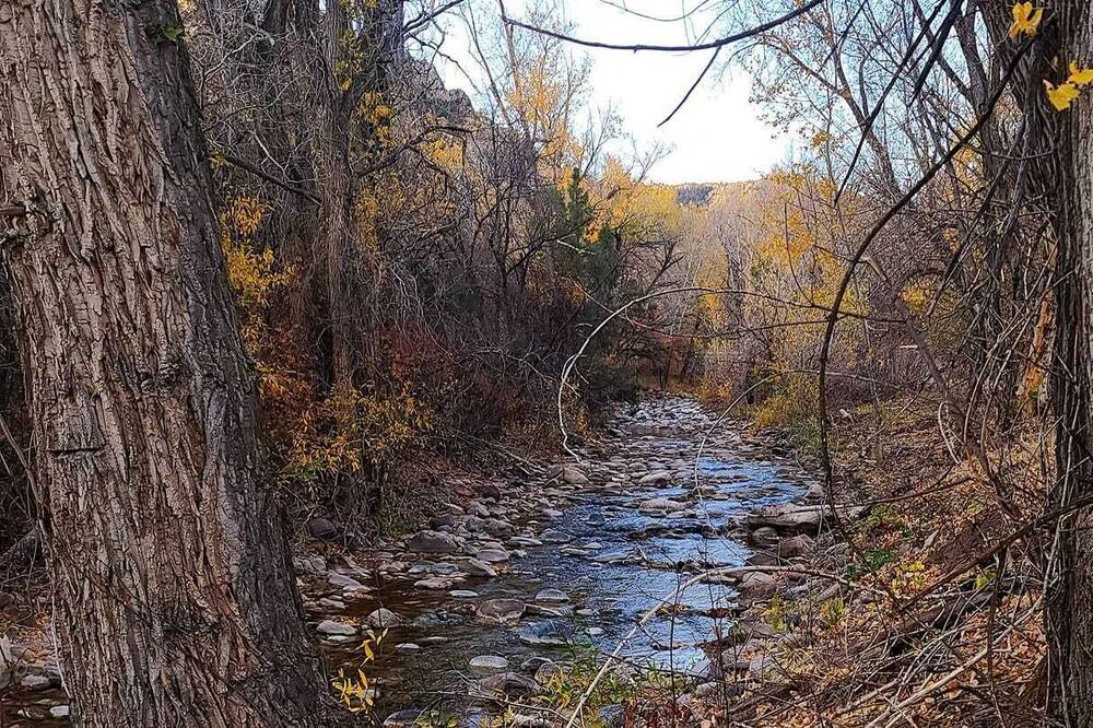 Photo of Outdoor in New Castle