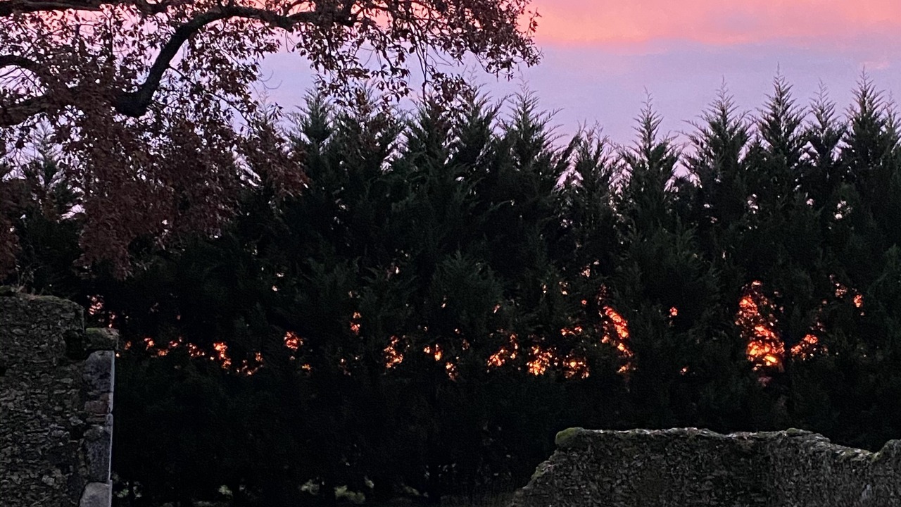 Photo of Outdoor in Mauleon-d'Armagnac